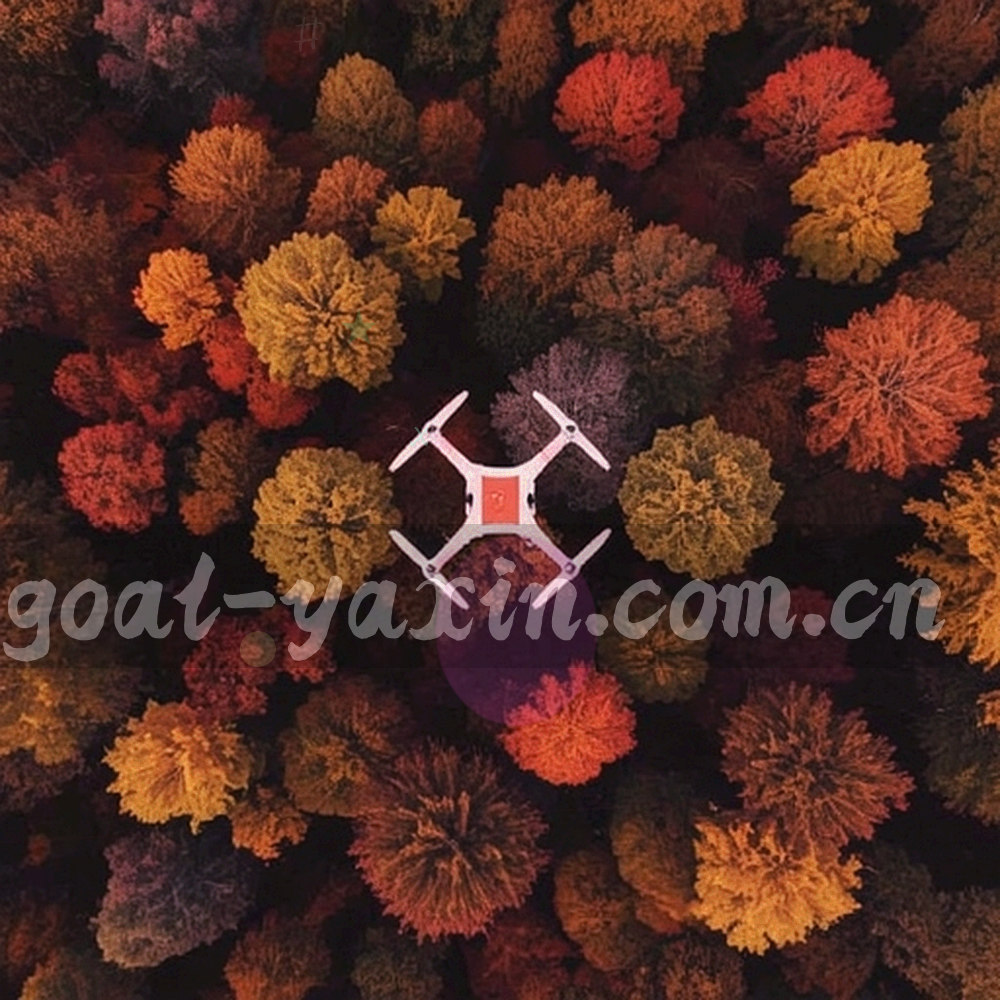 铺开的记录纸与刻度尺的抽象静物构图，画面中无可辨识文字